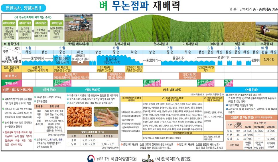볍씨, 논에 바로 뿌리면 일손 덜 수 있어요~