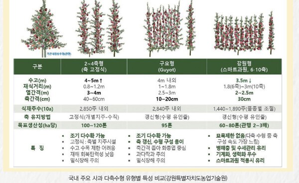 「친환경 기술」 사과 다축수형재배4 - 국내의 사과 다축수형재배 사례