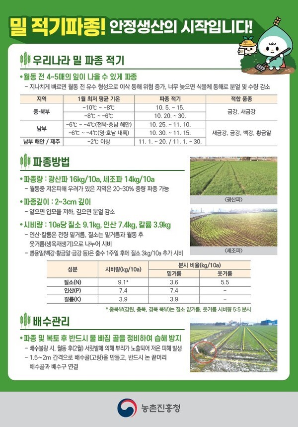 [농진청] 밀 파종 지연…‘늦파종’